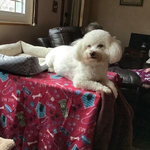 Meet your Posher, Sandra